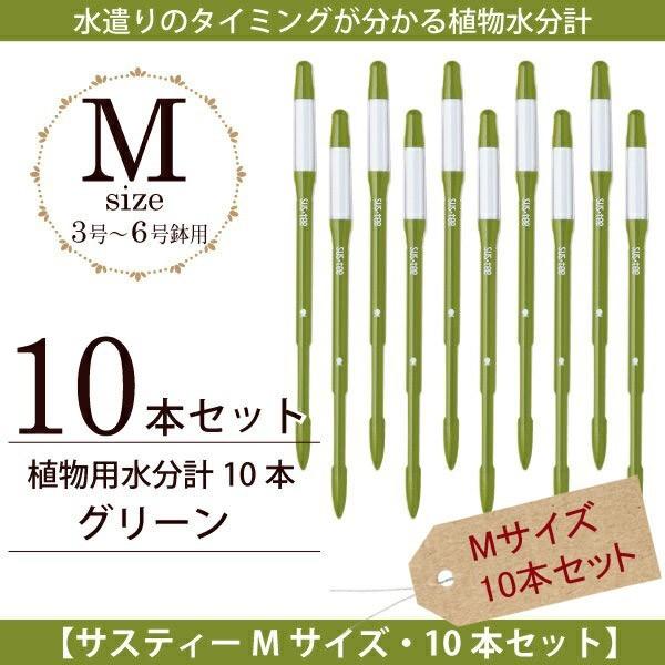 Lrm`F@ Apv TXeB[ MTCYE{10{ZbgO[@lR|X