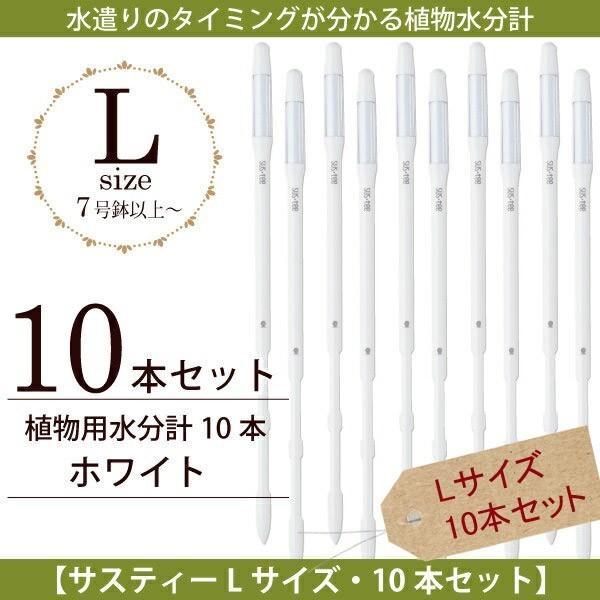 Lrm`F@ Apv TXeB[LTCYE{10{ZbgzCg@lR|X