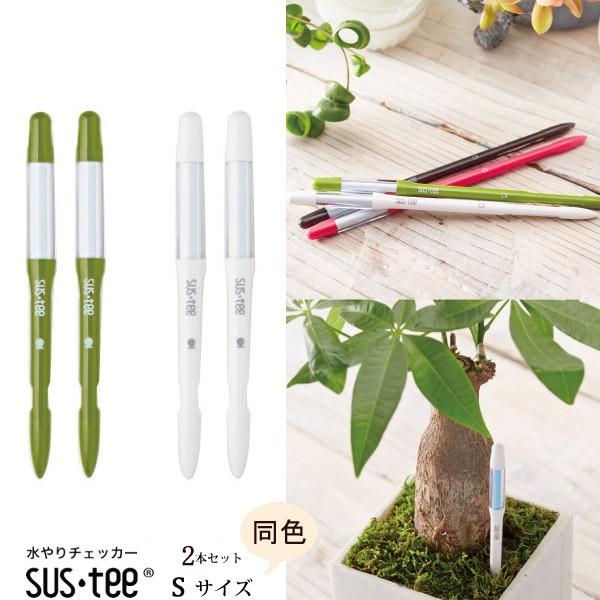 Lrm`F@Apv TXeB[ STCYE{2{Zbg IׂJ[  lR|X