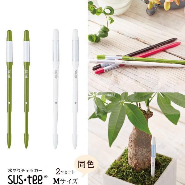 Lrm`F@Apv TXeB[ MTCYE{2{Zbg IׂJ[  lR|X