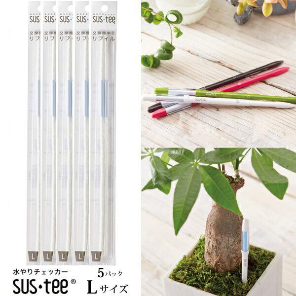 Lrm`F@Apv  TXeB[LptB(2{j5pbN@lR|X