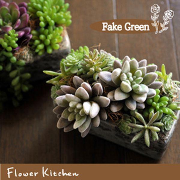 フェイクグリーン 多肉植物 ミニミニ四角 四角い陶器から溢れるグリーン 人工観葉植物 Buyee Buyee Japanese Proxy Service Buy From Japan Bot Online