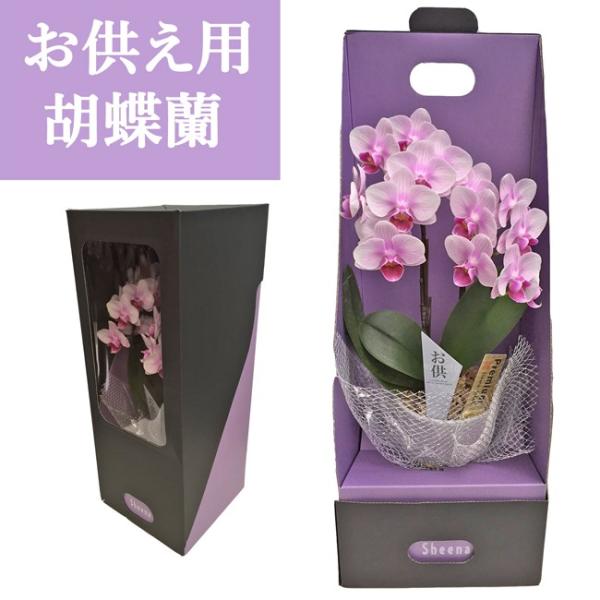   Ӓ@Yn̉ԃMtg e[uӒ p 2{ Ŗm̌Ӓ@yA-318z