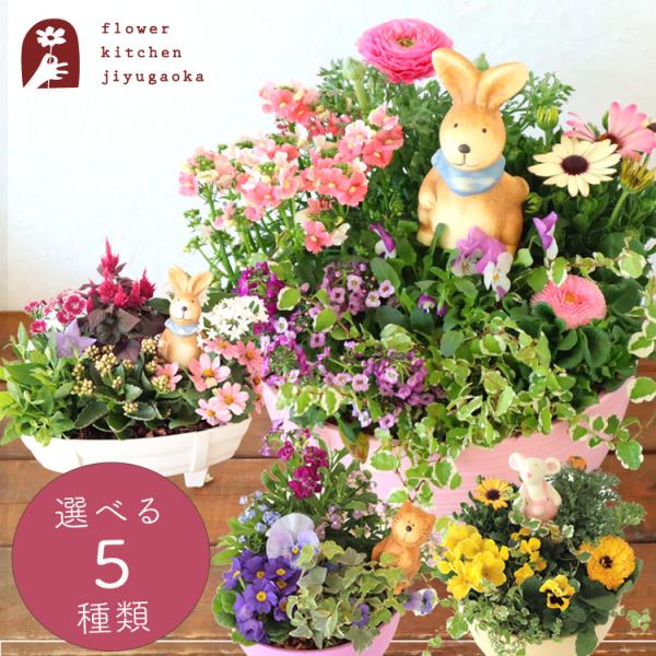FlowerKitchen 季節のお花の寄せ植え 花苗6種 タル型鉢 FlowerKitchen 季節のお花の寄せ植え 花苗6種 タル型鉢