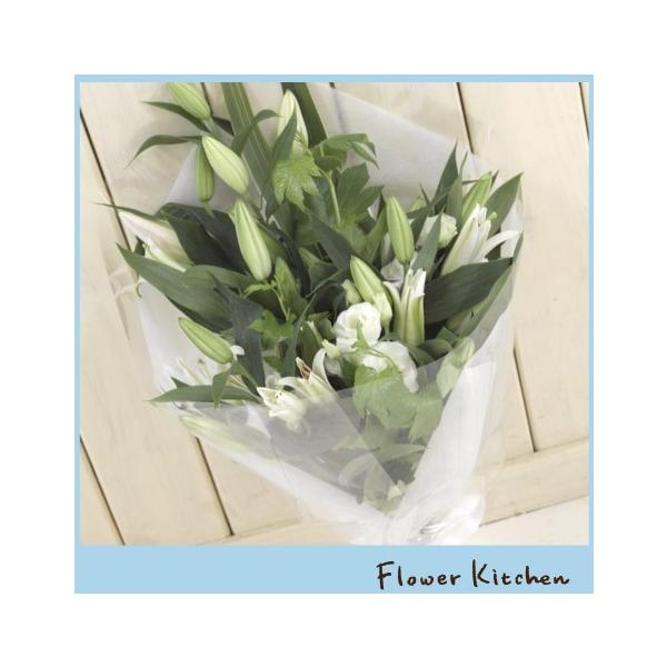   ~ ފ ̂ԑ@ ̉ԃMtg FKAA