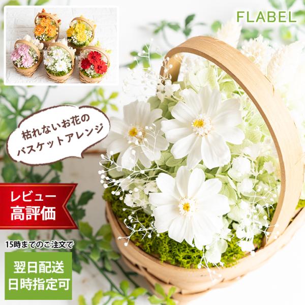 プリザーブドフラワー ジニアバスケット 卒業 退職祝い 誕生日 プレゼント 女性 女友達 送別会 結婚祝い 母の日 早割 21 花 ギフト おしゃれ お祝い Buyee 日本代购平台 产品购物网站大全 Buyee一站式代购 Bot Online