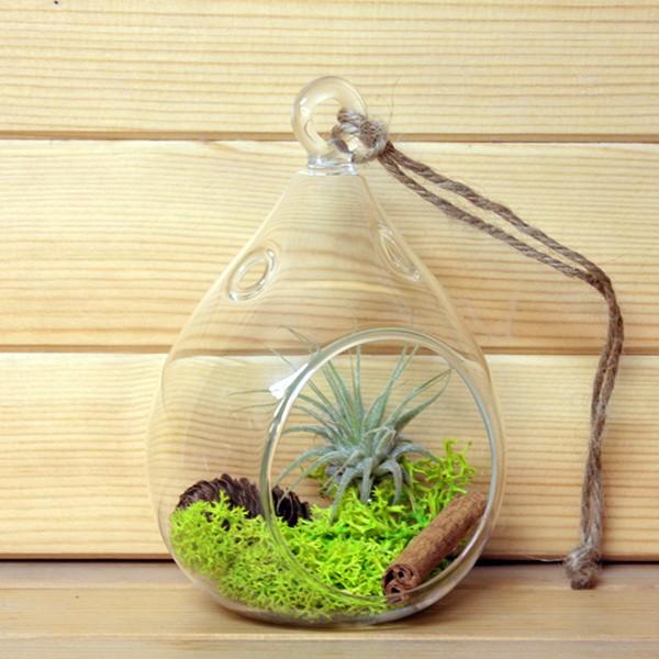 ハンギンググラス フォレストs Sサイズエアプランツ1個付 Air Fr978 エアプランツ観葉植物ふらここ 通販 Yahoo ショッピング
