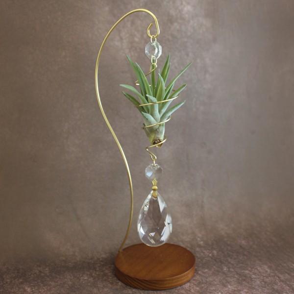 ぐるぐるサンキャッチャースタンド ゴールド ドロップ エアプランツ付 Gr 1501stg エアプランツ観葉植物ふらここ 通販 Yahoo ショッピング