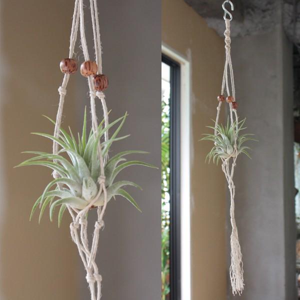 エアプランツ ハンモック ヘンプ スタンダード Sサイズ メール便対応 Hm 0002 エアプランツ観葉植物ふらここ 通販 Yahoo ショッピング