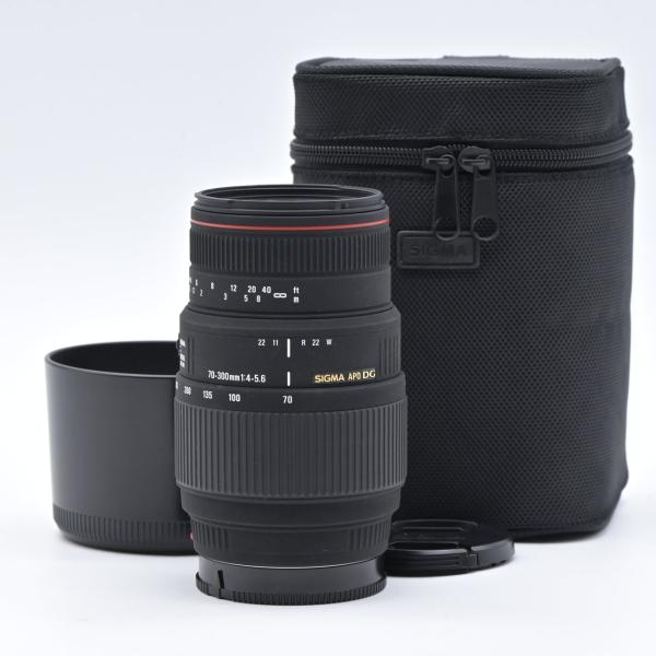 SIGMA DG MACRO 70-300mm F4-5.6　ソニーAマウント SIGMA シグマ APO 70-300mm F4-5.6 DG MACRO ソニー用 : フラッグ