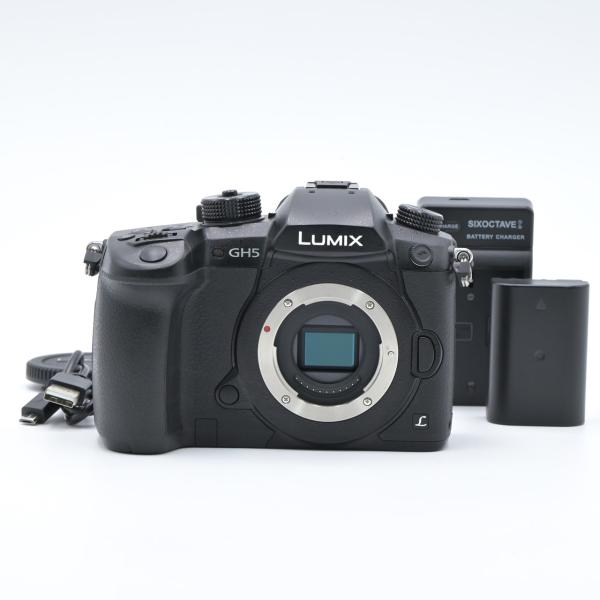LUMIX DC-GH5-K ボディ ブラック ミラーレス一眼レフカメラ Panasonic パナソニック LUMIX DC-GH5-K ボディ ブラック : フラッグ