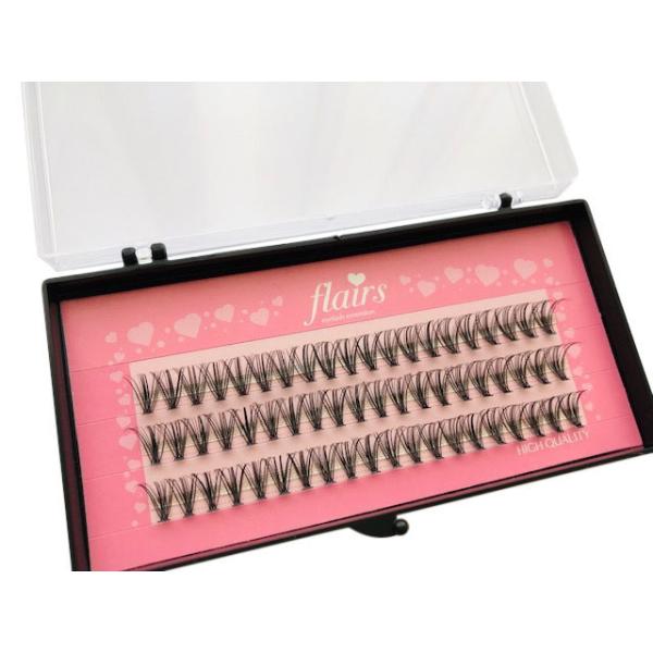 最も優遇 マツエク まつげエクステ ケース Wesport Se