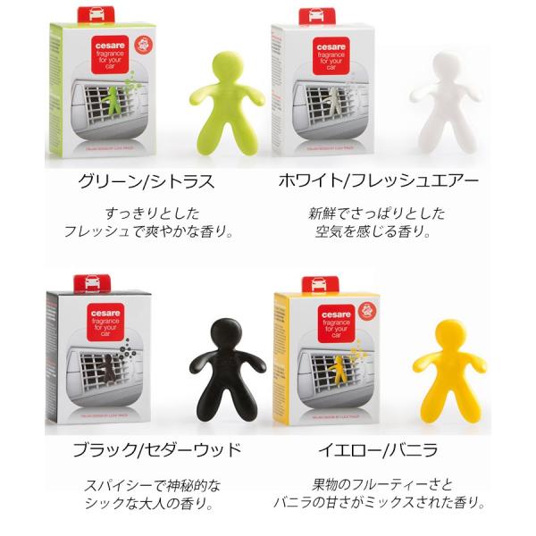 flaner-y_f10013963_1