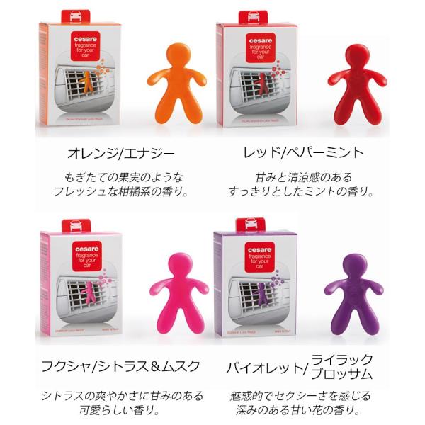 flaner-y_f10013963_2