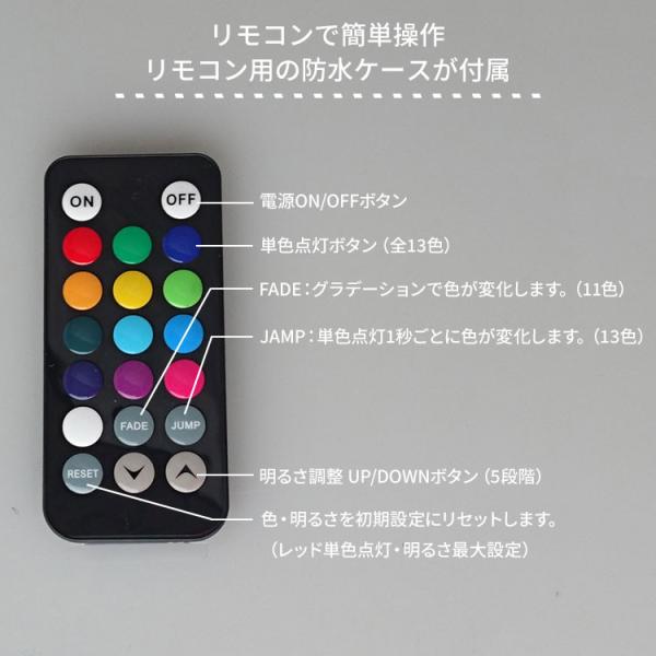 flaner-y_f10016478_3_d_20250221114007