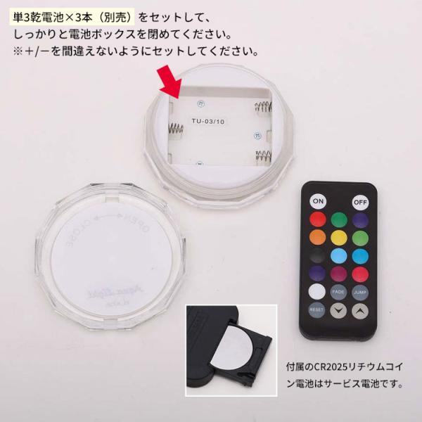 flaner-y_f10016478_4_d_20250221114009