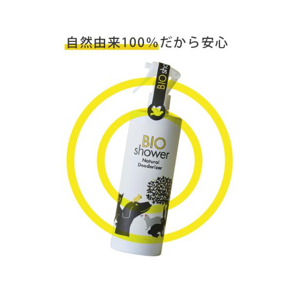 flaner-y_f10018339_2_d_20240726141502