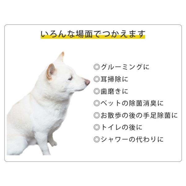 flaner-y_f10018339_3