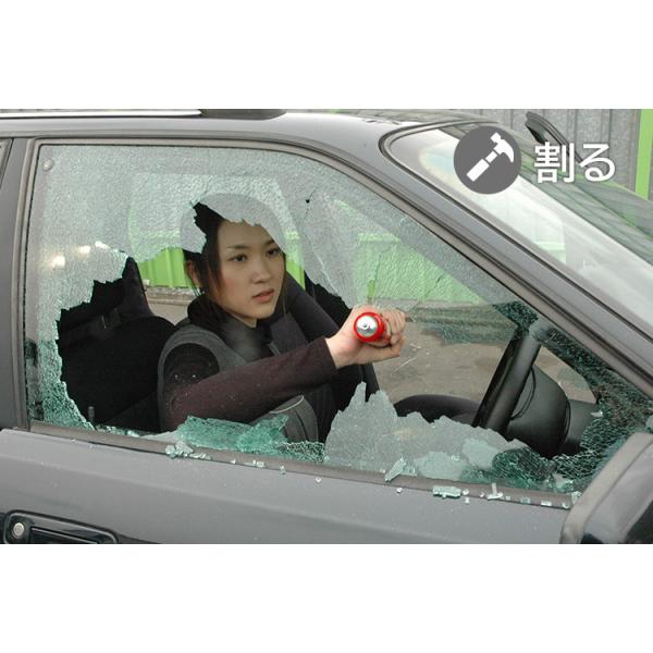 flaner-y_f10018369_4