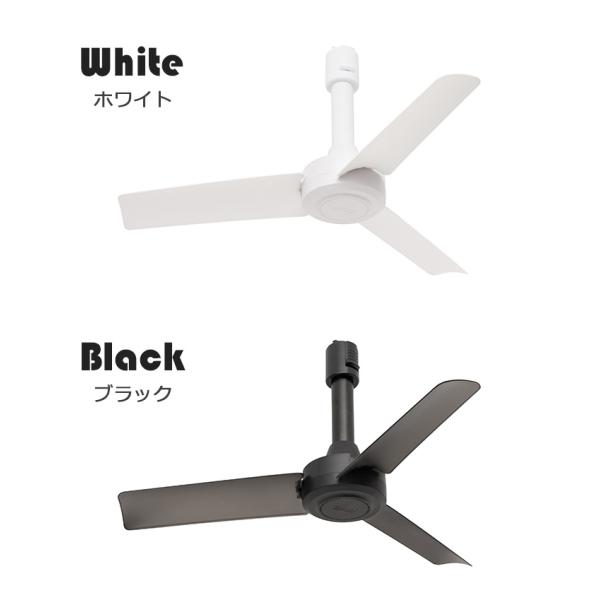 flaner-y_f10018601_1_d_20231004181935