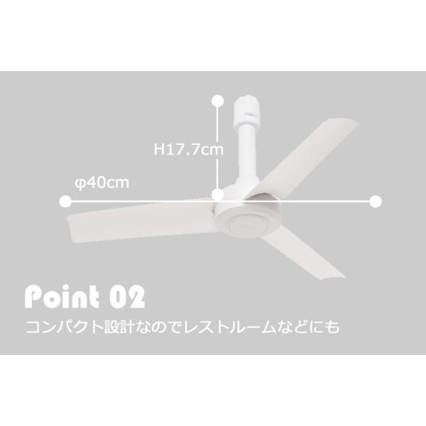 flaner-y_f10018601_4_d_20231004181937