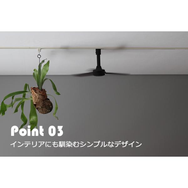 flaner-y_f10018601_5_d_20231004181938