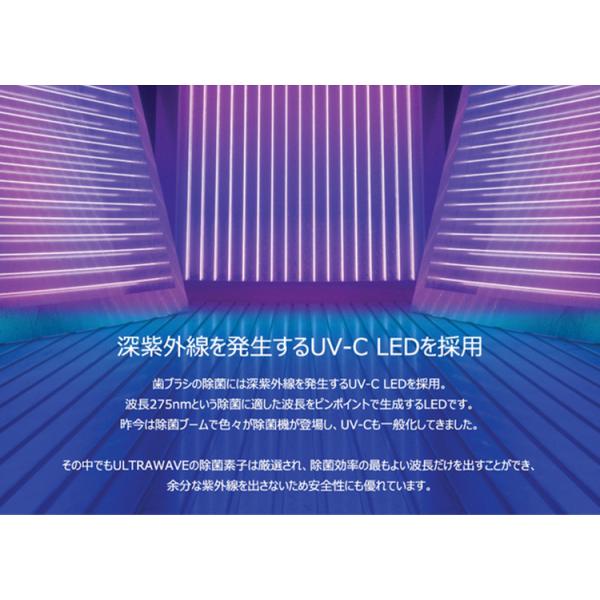 flaner-y_f10019044_5