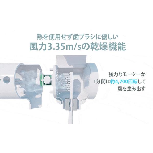 flaner-y_f10019053_5