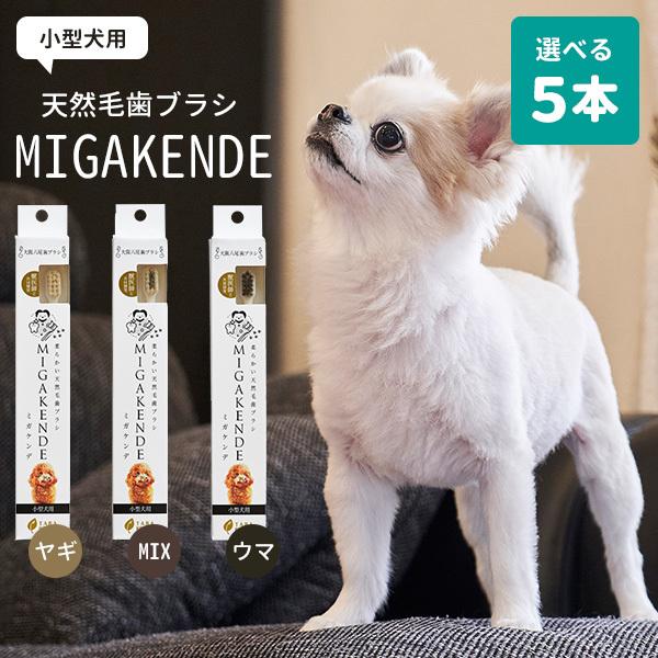 選べる5本セット 犬用 天然毛歯ブラシ MIGAKENDE ミガケンデ 小型犬用