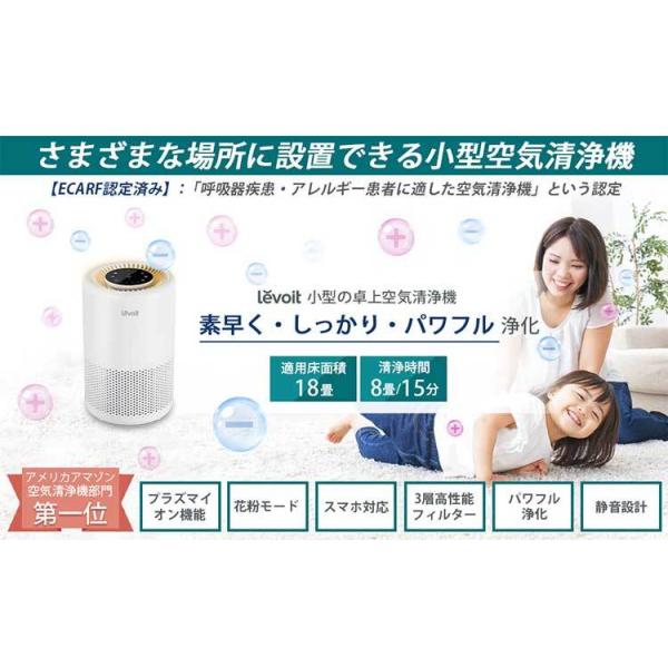 flaner-y_f10021350_2