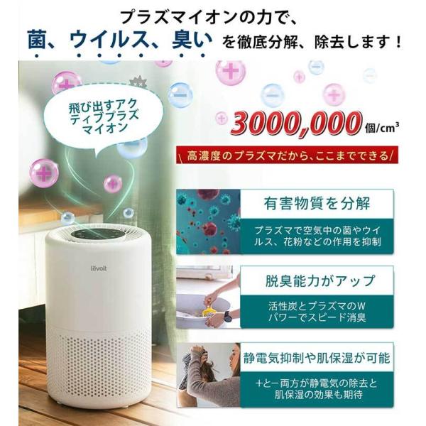 flaner-y_f10021350_4