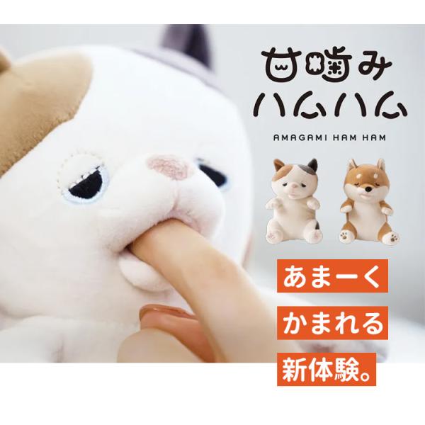 flaner-y_f10021913_3