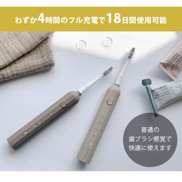 flaner-y_f10023278_4_d_20231207180820