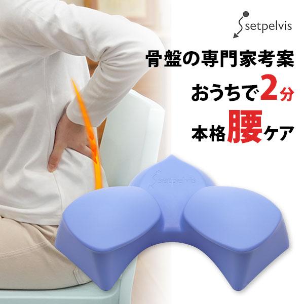 セットぺルビス ポリウレタン製 本格腰ケア setpelvis : flaner - 通販
