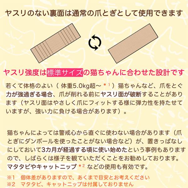 flaner-y_f10023657_4_d_20240606120820