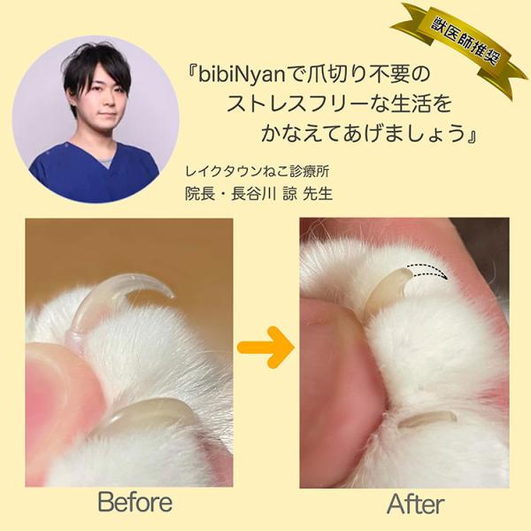 flaner-y_f10023657_5_d_20240606120820