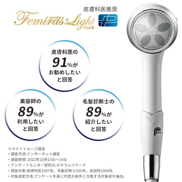 flaner-y_f10024043_1_d_20241212172702