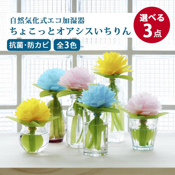 ミクニ ライフ&オート 選べる3点セット ちょこっとオアシスいち