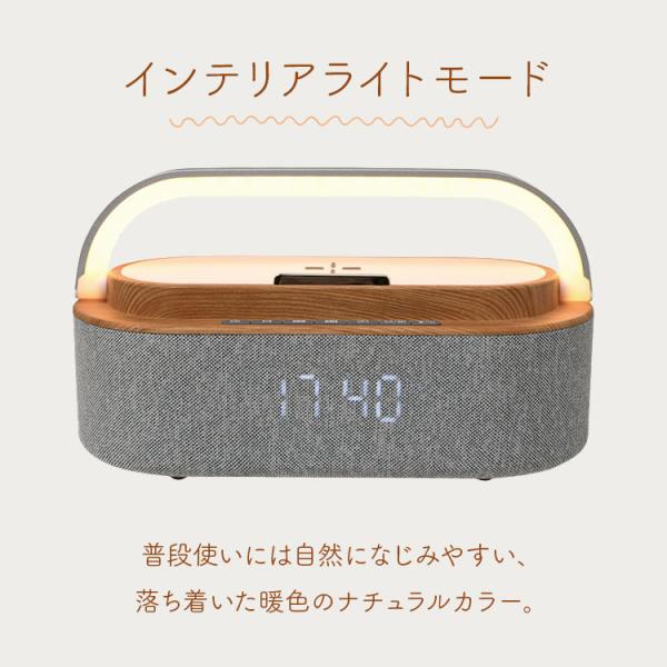 flaner-y_f10024830_2_d_20251218165219