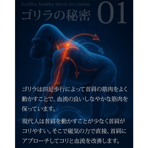 flaner-y_f10024937_4_d_20260309134037