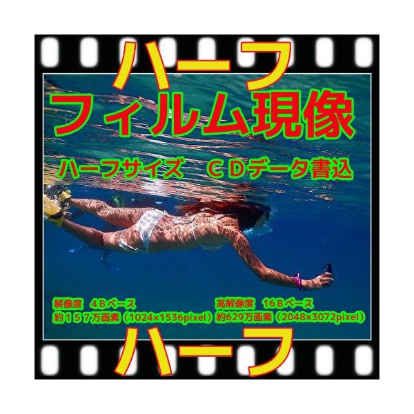 オリンパス OLYMPUS ジャンク品 エクリュ Ecru フィルムカ