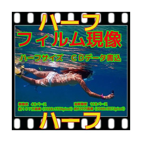 1AH16　　商品説明ハーフ現像のみＣＤつき商品撮影済みの未現像フィルムから現像＝ネガを作り+ＣＤに書込します（16Ｂ）35ミリフィルムの商品です。インデックス１枚　が付属します。ＣＤ書込み解像度は16Ｂベース約629万画素（2048×30...