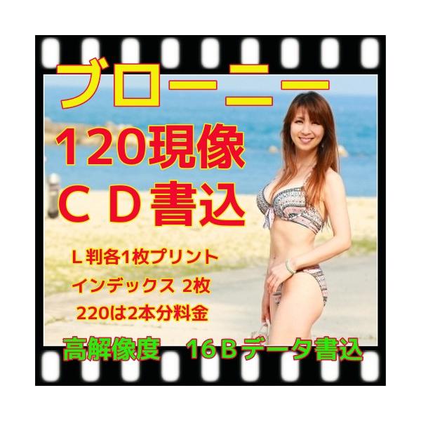 u[j[120J[tB+vg+𑜓xbc16a{CfbNXPiς݂ł\j