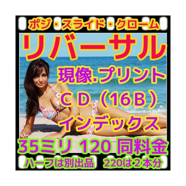 o[TtB+vgbci𑜓xPUaŃf[^ۑjRT~Eu[j[PQO@i