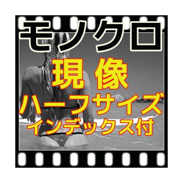 mN@n[t@tB邾@X[@{@CfbNX