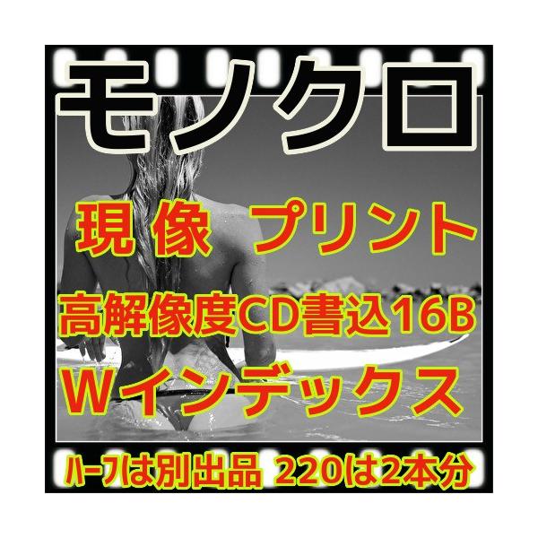 mNtB+kŃvgeP+bci16aŃf[^jetih@tW@}bNX Marix@LomographyOtB[