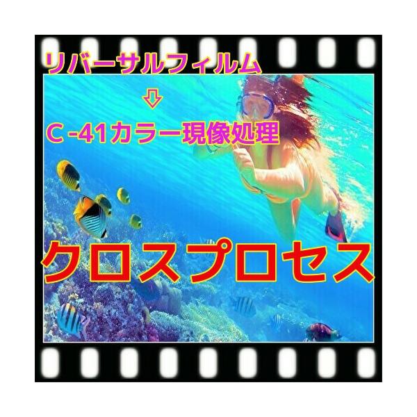 n[tENXvZX@+vg@+bcf[^i𑜓x16Bj