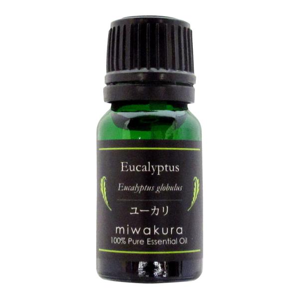 精油 ユーカリ 10ml 成分表付き miwakura 美和蔵 100%天然