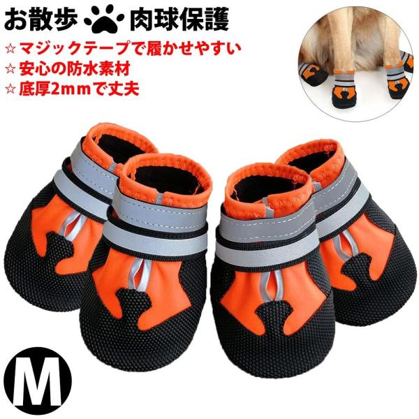  C hbOV[Y h JC UV[Y miwakura a [obOt 4Zbg ^/^ MTCY 7cm IW MPS-RB4P-OR-M 