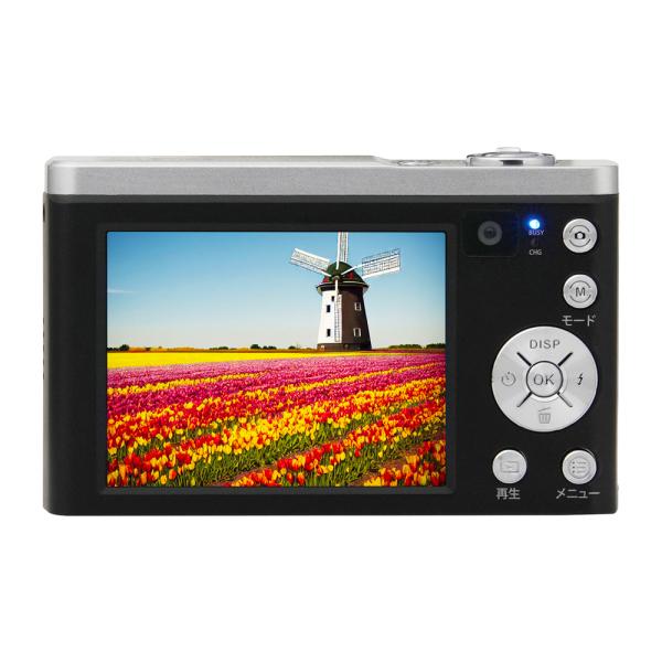 flashmemory_4961607446324